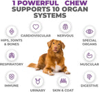 MAX Dog Multivitamin - Multivitamínico para Perros Senior y Adultos 10 en 1