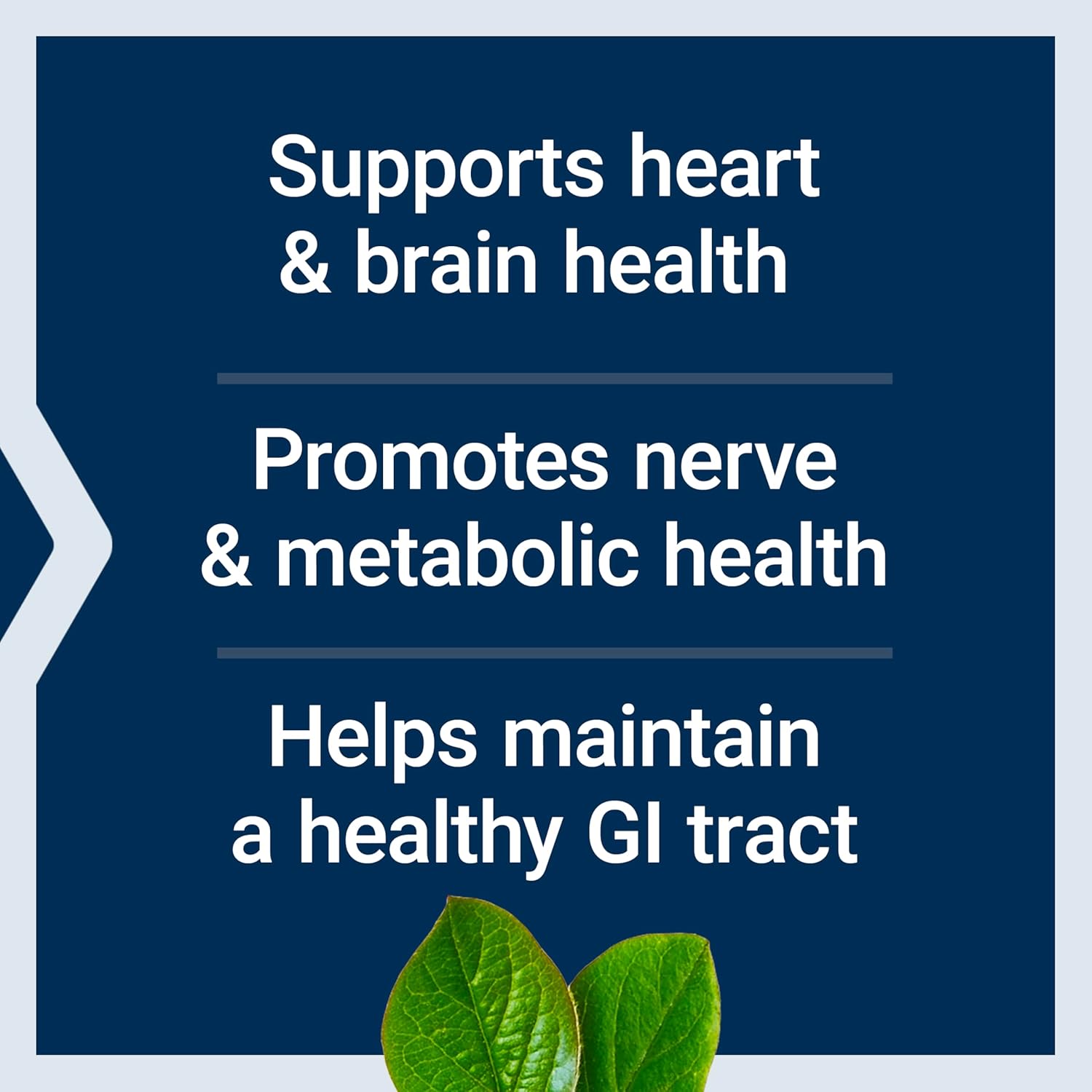 Life Extension BioActive Folate & Vitamin B12 - 90 Capsules