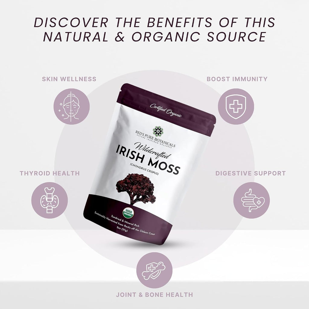 Red's Pure Botanicals Irish Sea Moss Orgánico – Chondrus Crispus Púrpura