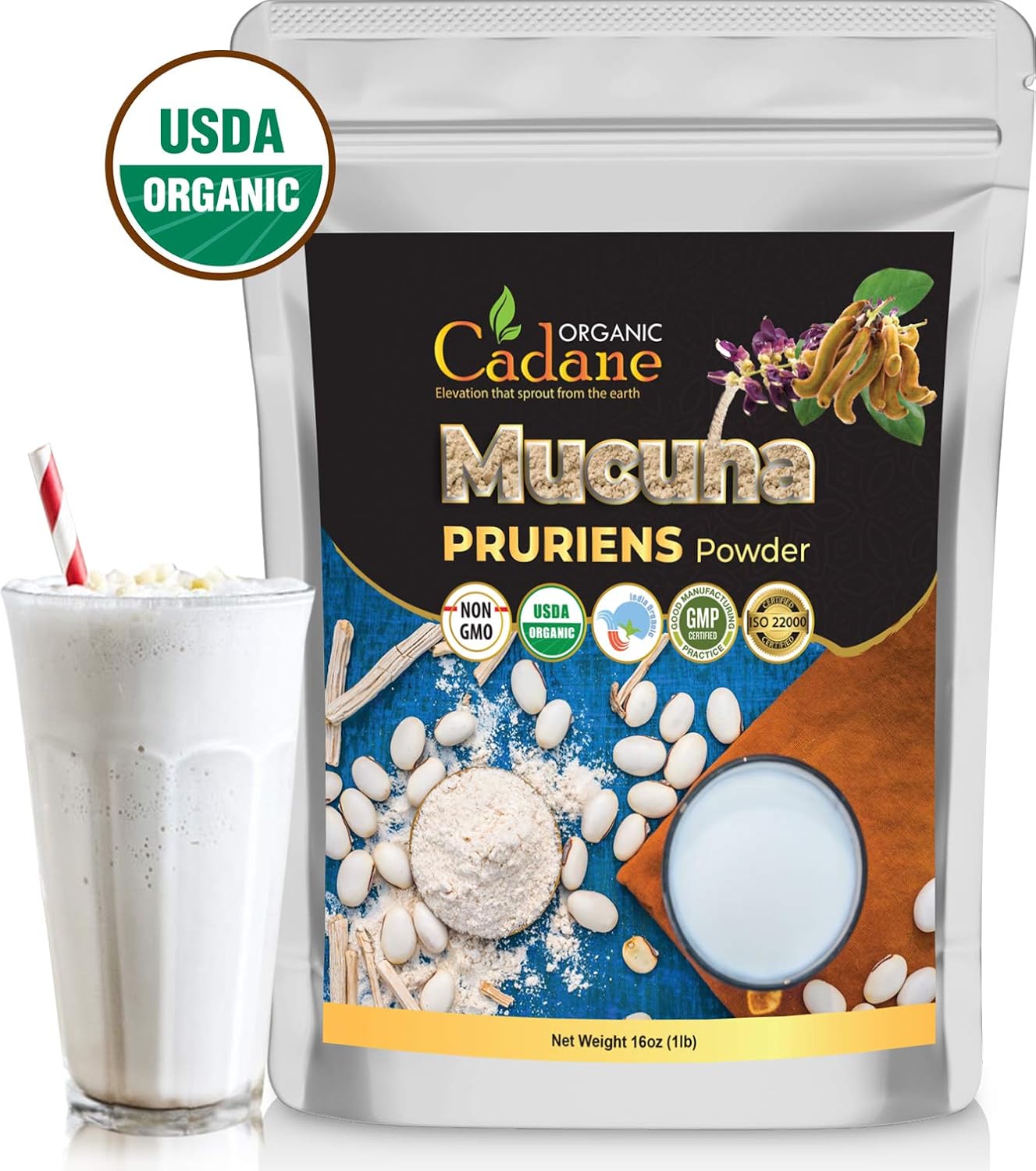 Organic Cadane Mucuna Pruriens en Polvo 1 Libra | Ayuda a la Salud Cerebral, Inmunidad y Energía | Certificado USDA Vegano
