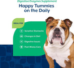 NaturVet – Enzimas Digestivas con Probióticos y Prebióticos – para Perros (Masticables Blandos, 70 unidades)