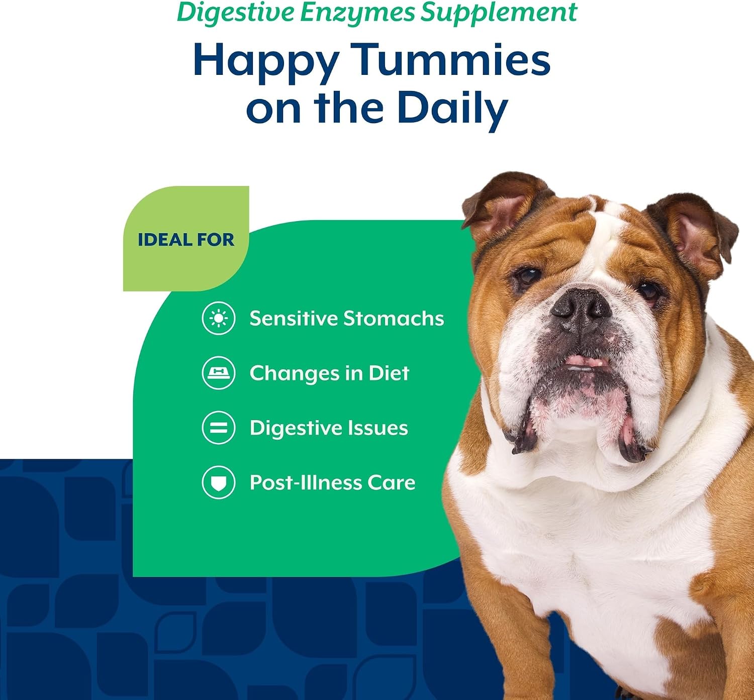 NaturVet – Enzimas Digestivas con Probióticos y Prebióticos – para Perros (Masticables Blandos, 70 unidades)