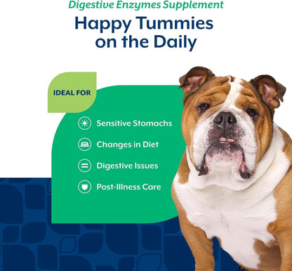 NaturVet – Enzimas Digestivas con Probióticos y Prebióticos – para Perros (Masticables Blandos, 70 unidades) – Image 4