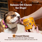 Natural Dog Company Masticables de Salmón Salvaje de Alaska para Perros - Suplemento de Omega 3 con EPA y DHA, 90 Unidades