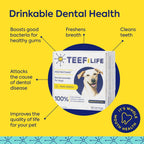 Protektin42 Recambio de Polvo Dental Prebiótico para Perros - 180 dosis (6 sobres)