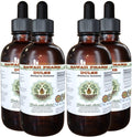 Hawaii Pharm Dulse Liquid Extract Alcohol-Free, Dulse (Palmaria Palmata) Glycerite 4x4 oz (4 - 118ml bottles)