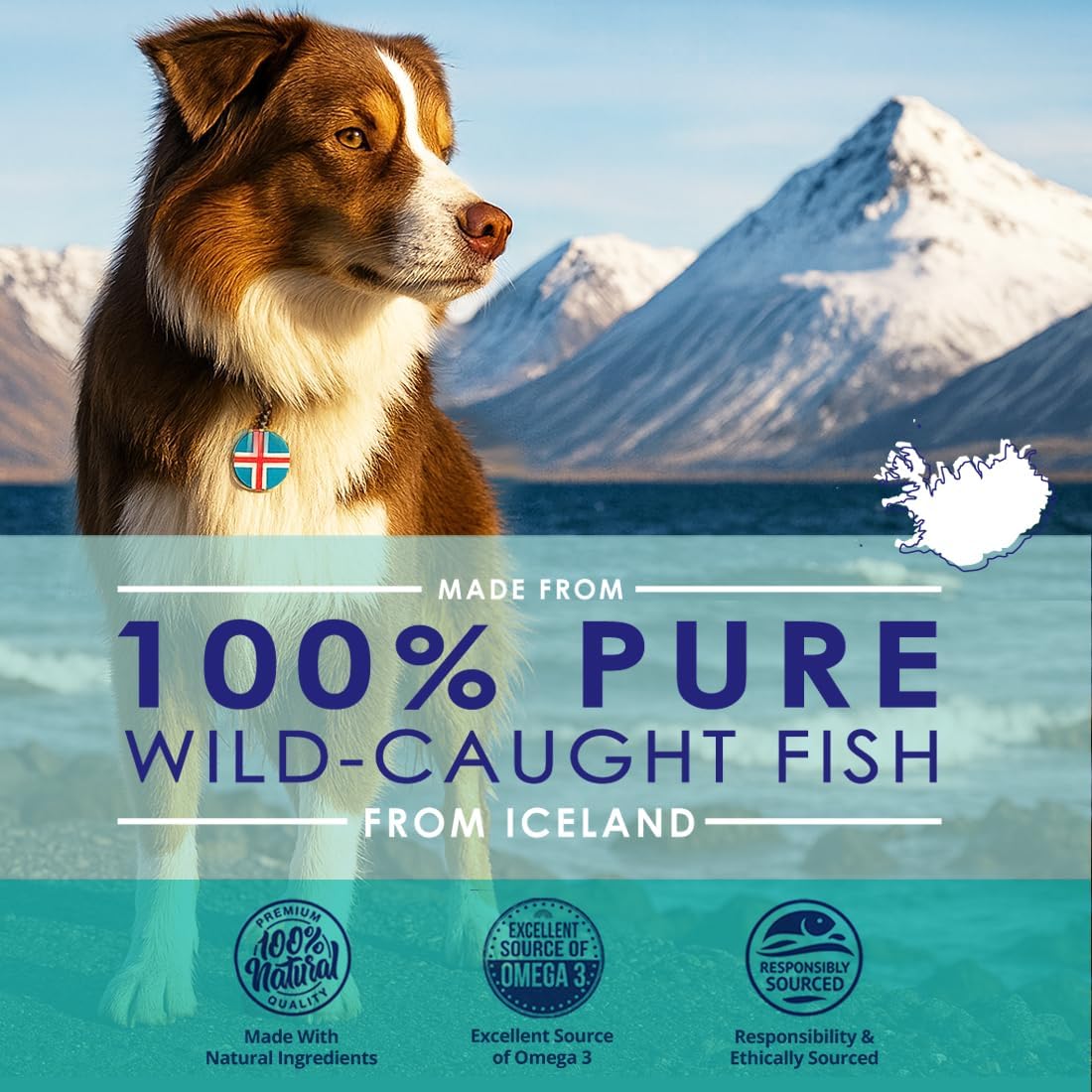 Aceite de Pescado Líquido para Perros con Omega 3, 6 y 9, Salvaje de Islandia - 473 ml