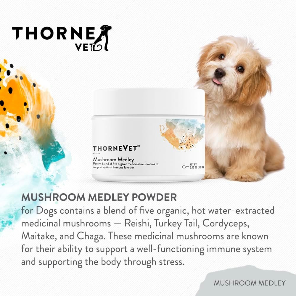 ThorneVet Mushroom Medley para Perros - Apoyo Inmunológico y Antioxidantes - con Reishi, Cola de Pavo, Cordyceps, Maitake y Chaga - Apoyo para Perros en Tratamiento contra el Cáncer - 120 Dosis