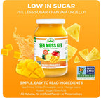 EverSmith Organics – Gel de Musgo Marino Irlandés Silvestre Sabor Mango Piña (1 Bote)