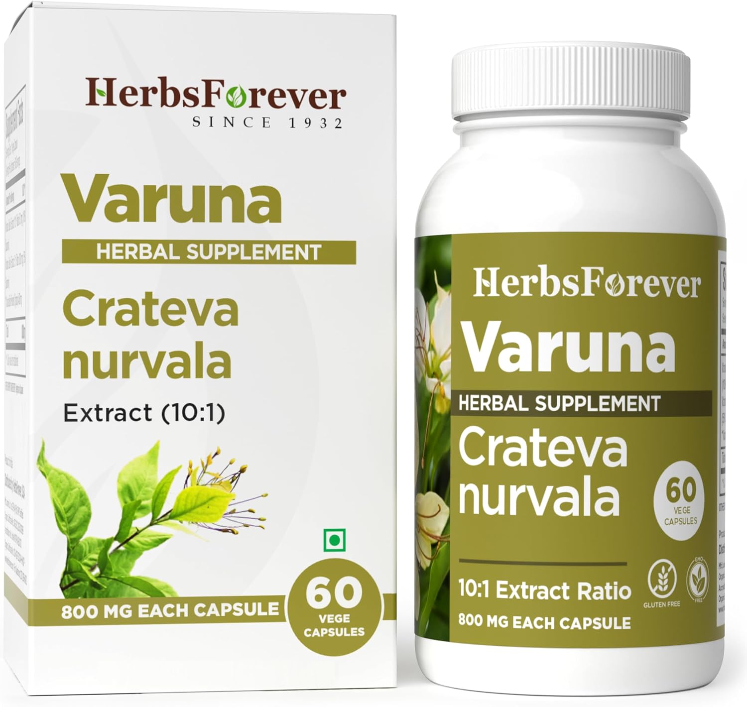 Varuna Nurvala Extract Capsules – 800 mg | Vegano y Sin Gluten | Suplemento Ayurvédico