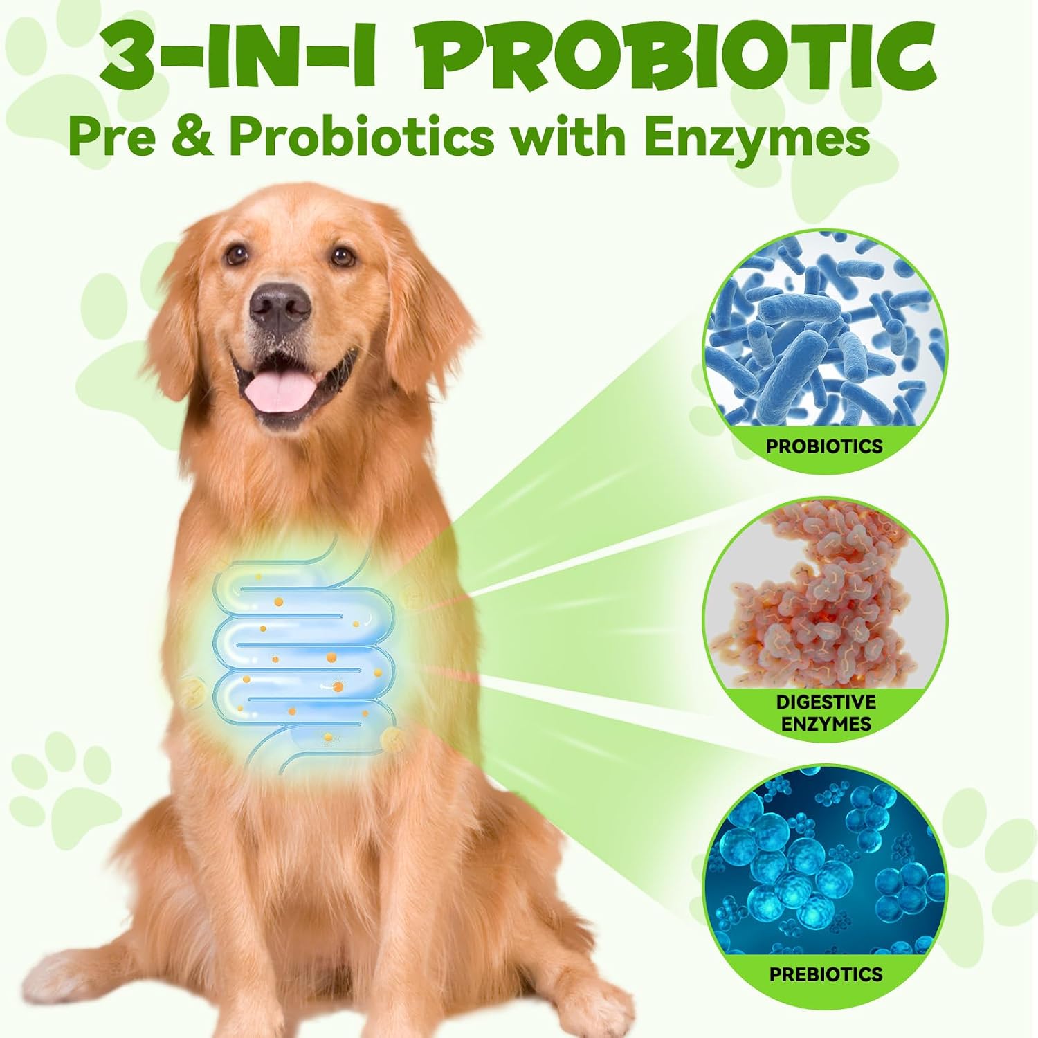 Probiótico Líquido para Perros 3 en 1 - 60 ml | Salud Digestiva e Inmunidad