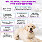 15 en 1 Multivitamínico Líquido para Perros – Todo en Uno – 60 ml