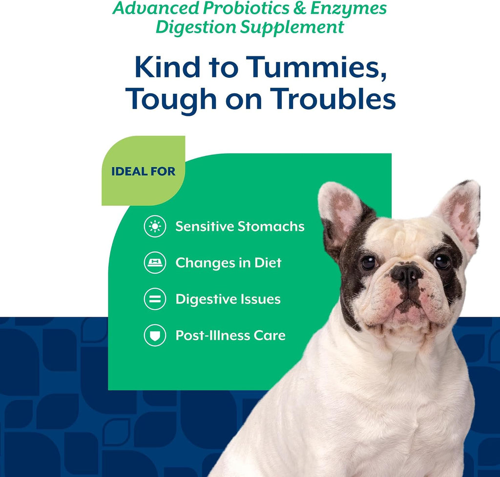 NaturVet Probióticos y Enzimas Avanzados PB6 - Masticables para Perros - Sabor Bacon Ahumado - 240 Unidades