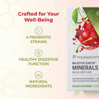 Youngevity Majestic Earth® Mineral STX™ Plant Derived Minerals Powder