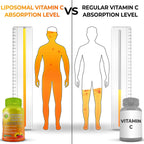 Vitamina C Liposomal 1100 mg con Acerola Orgánica – 120 Cápsulas Líquidas de Gel