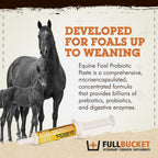 Pasta probiótica Health Foal, suplemento nutricional totalmente natural, tubo de 32.5 gramos