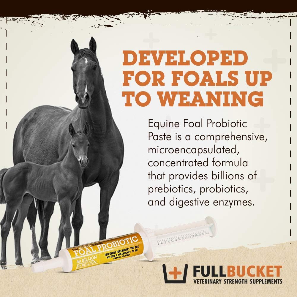 Pasta probiótica Health Foal, suplemento nutricional totalmente natural, tubo de 32.5 gramos