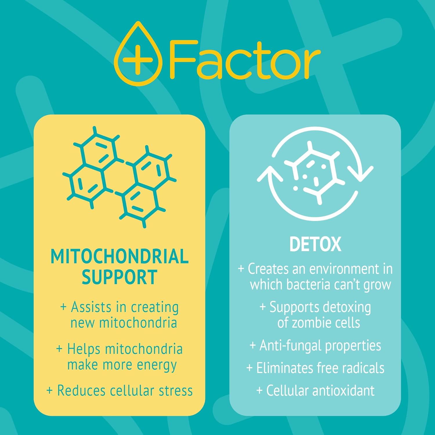 Plus Factor Cellular Boost Complex - 3% Methylene Blue & Silver Nano Particles - 50 ml