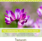 Herbsmith Immune Support - 75g Polvo