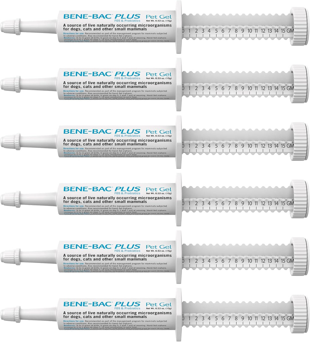 PetAg Bene-Bac Plus Pet Gel - 15 g Syringe, Pack of 6 - FOS & Probióticos para Perros, Gatos, Exóticos y Mamíferos Silvestres