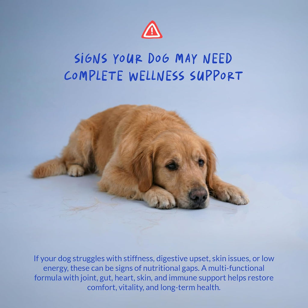 Multivitamin for Dogs 120 Tablets - Glucosamine, Fish Oil & CoQ10
