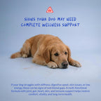 Multivitamin for Dogs 120 Tablets - Glucosamine, Fish Oil & CoQ10