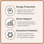 Utzy Naturals Complejo B | Vitaminas B Esenciales con Colina e Inositol | 60 Cápsulas