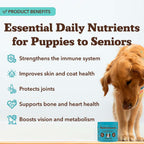 Natural Dog Company 25-in-1 Multivitamin for Dogs – Golosinas blandas formuladas por veterinarios para cachorros, adultos y seniors, 90 unidades