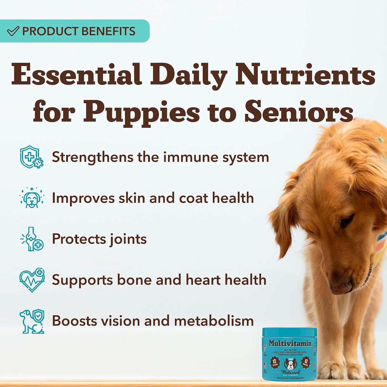Natural Dog Company 25-in-1 Multivitamin for Dogs – Golosinas blandas formuladas por veterinarios para cachorros, adultos y seniors, 90 unidades