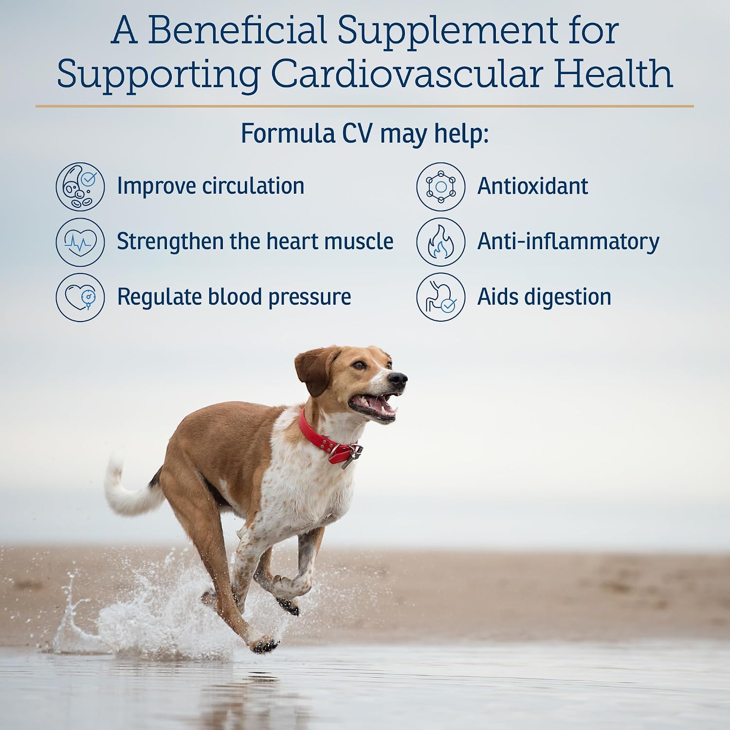 Rx Vitamins Formula CV - Cápsulas de Espino Blanco y Taurina para Perros y Gatos - 90 cápsulas