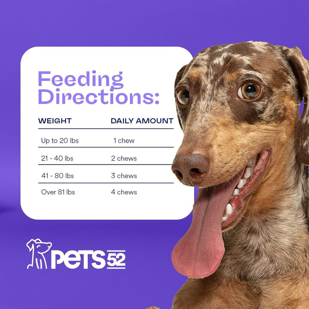 Pets 52 - Probióticos para Perros con Enzimas Digestivas - Apoya la Flora Intestinal, Refuerza el Sistema Inmunológico, Fórmula de Fuerza Veterinaria