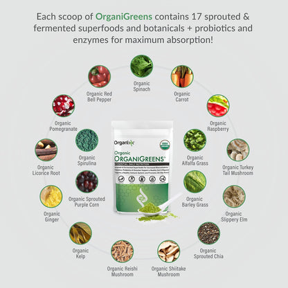 Organixx Greens Superfood Powder con – Salud digestiva: Las enzimas digestivas y el probiótico contribuyen a una – Image 2