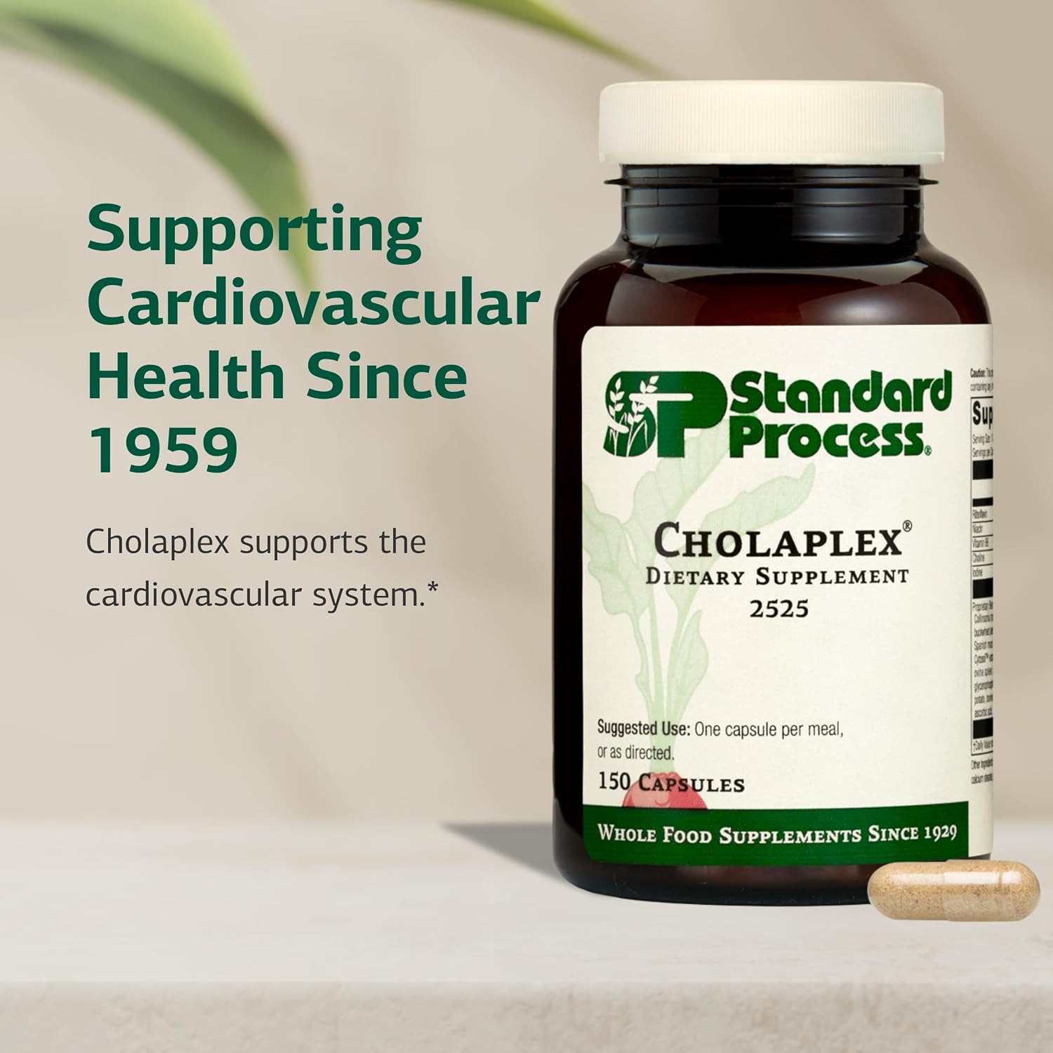 Standard Process Cholaplex - Suplemento para la salud del corazón y el hígado - 150 cápsulas