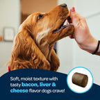 12-in-1 Complete Multivitamin for Dogs | 60 Chewables con Glucosamina, Condroitina y Probióticos Digestivos - Ready Pet Go!