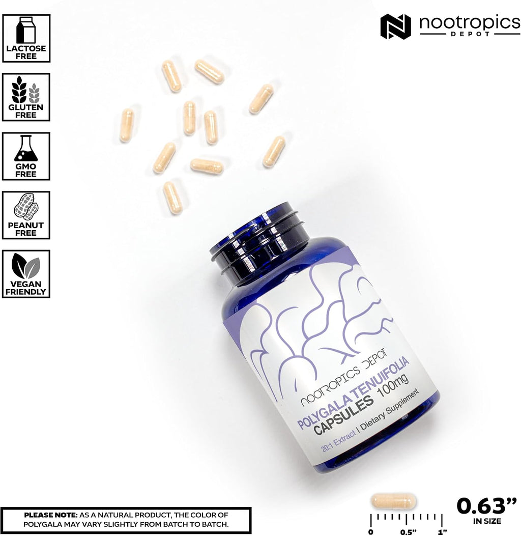 Nootropics Depot Cápsulas de Polygala tenuifolia | 100mg | 90 Cápsulas | Extracto 20:1 | Yuan Zhi