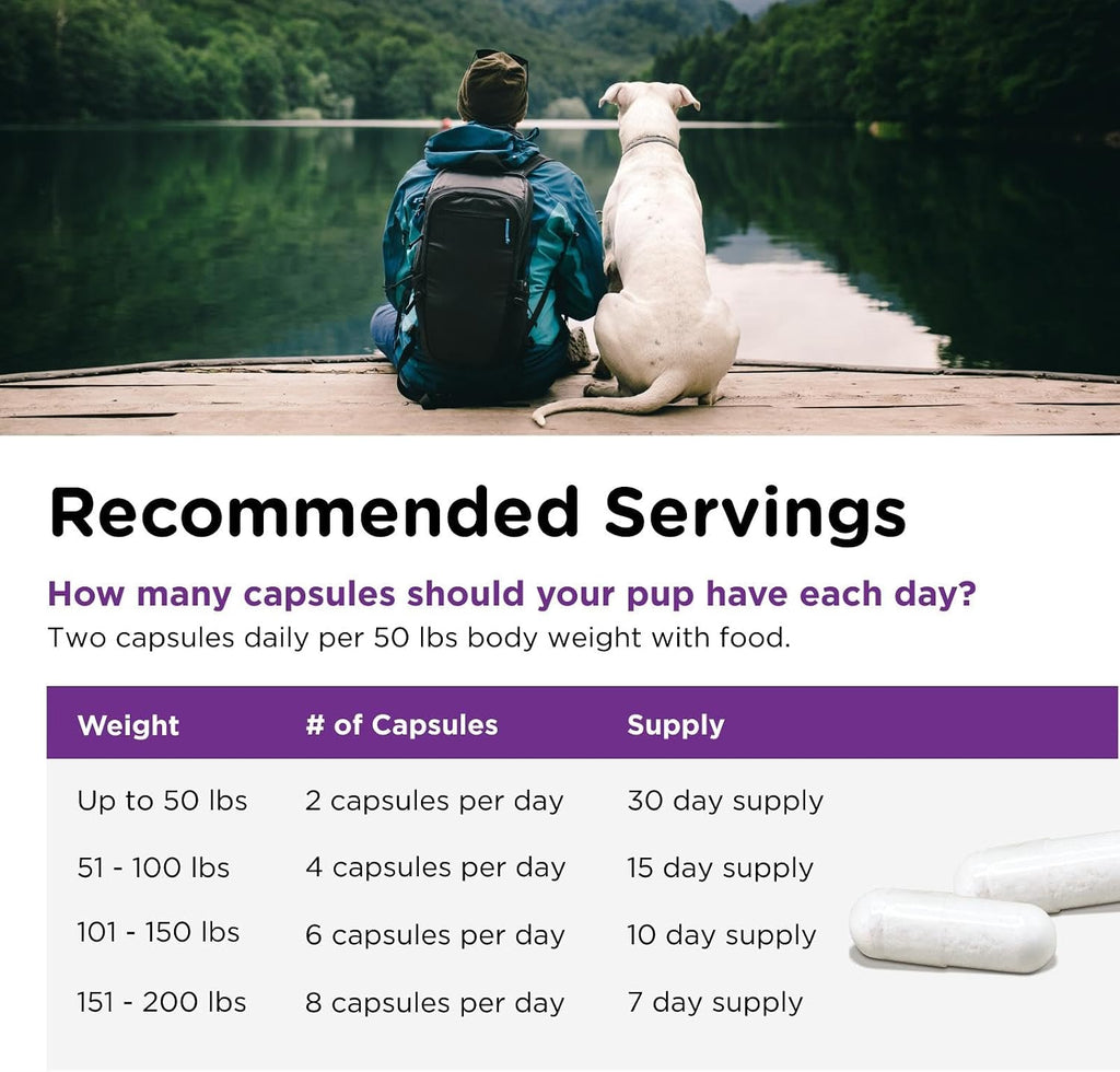 Nutri-Vet Probiotics for Dogs - 60 Capsules for Digestive and Immune Health
