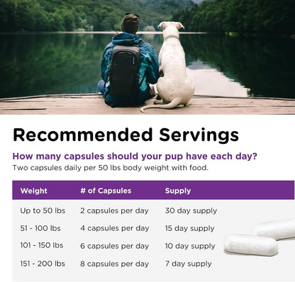 Nutri-Vet Probióticos para Perros – 60 – Digestión saludable: Contribuyen a la descomposición de los alimentos y a – Image 5