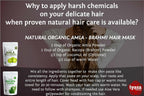 Polvo de Amla Orgánico 454 g - Iyasa Holistics