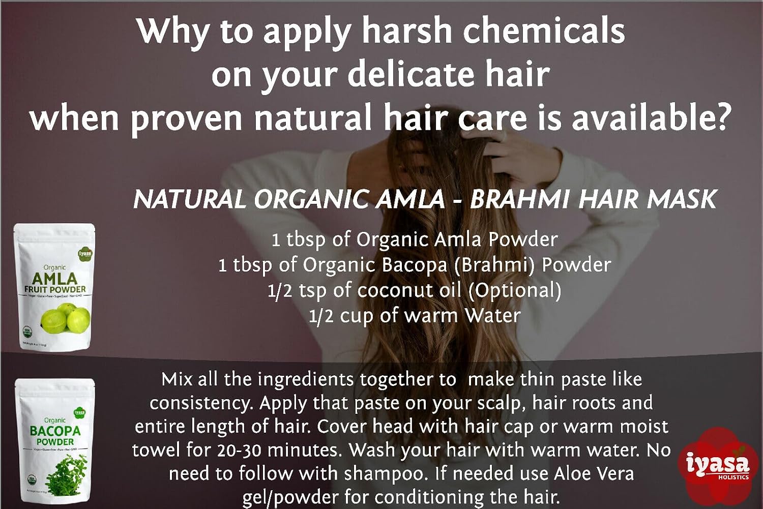 Polvo de Amla Orgánico 454 g - Iyasa Holistics