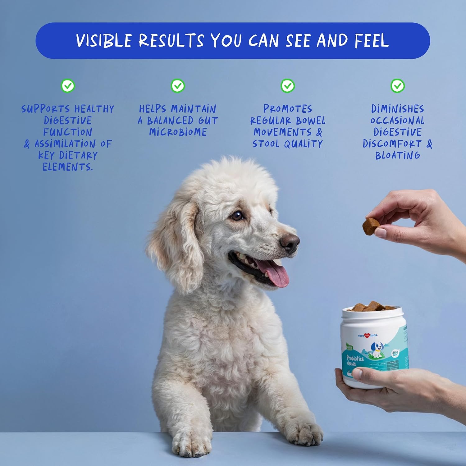 Coco and Luna Probióticos para Perros – 90 Masticables Suaves