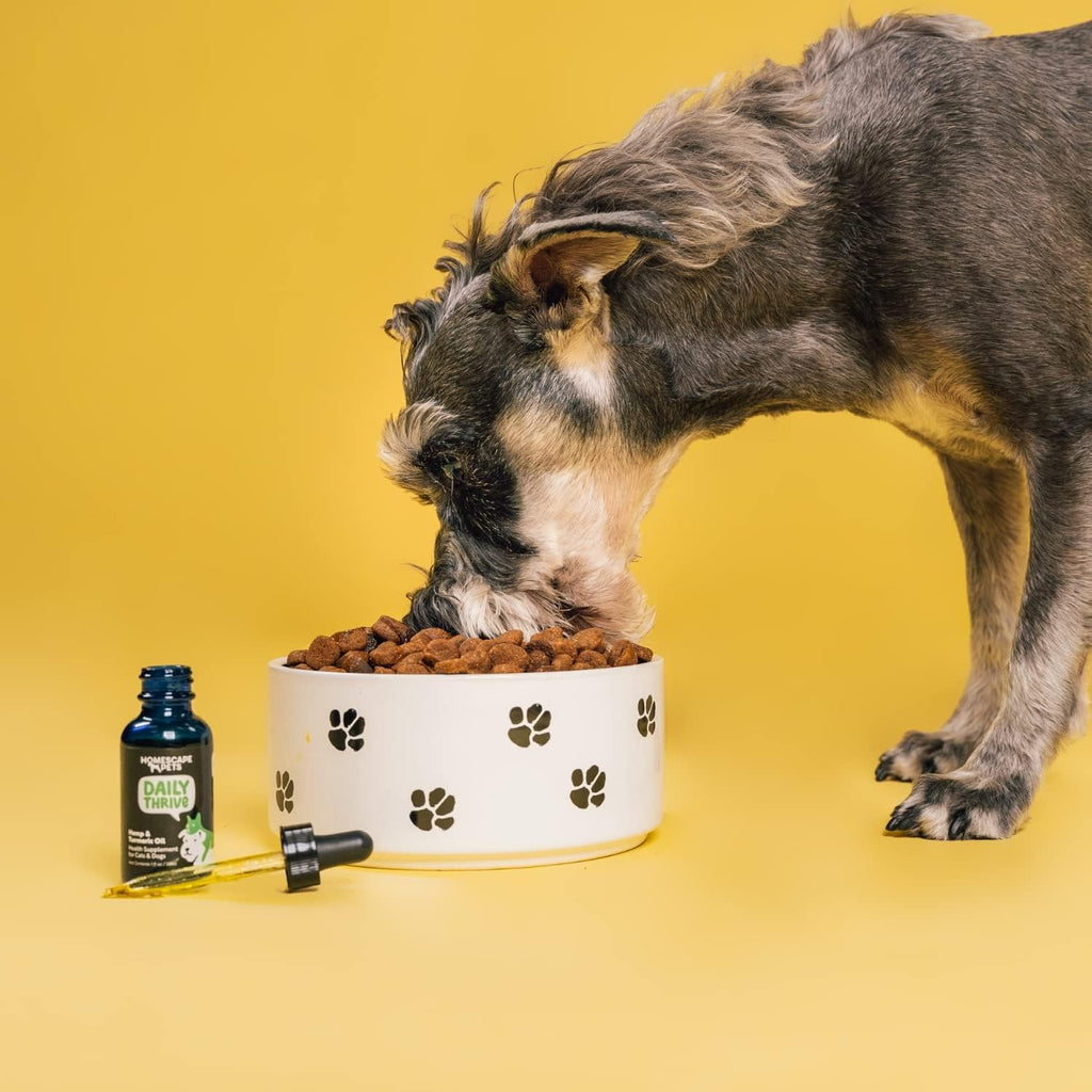 Daily Thrive de Homescape Pets - Aceite de Cáñamo y Cúrcuma para Perros y Gatos