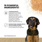 Vitality Science Celloquent para Perros - Apoyo Inmune y Digestivo Natural (220g)