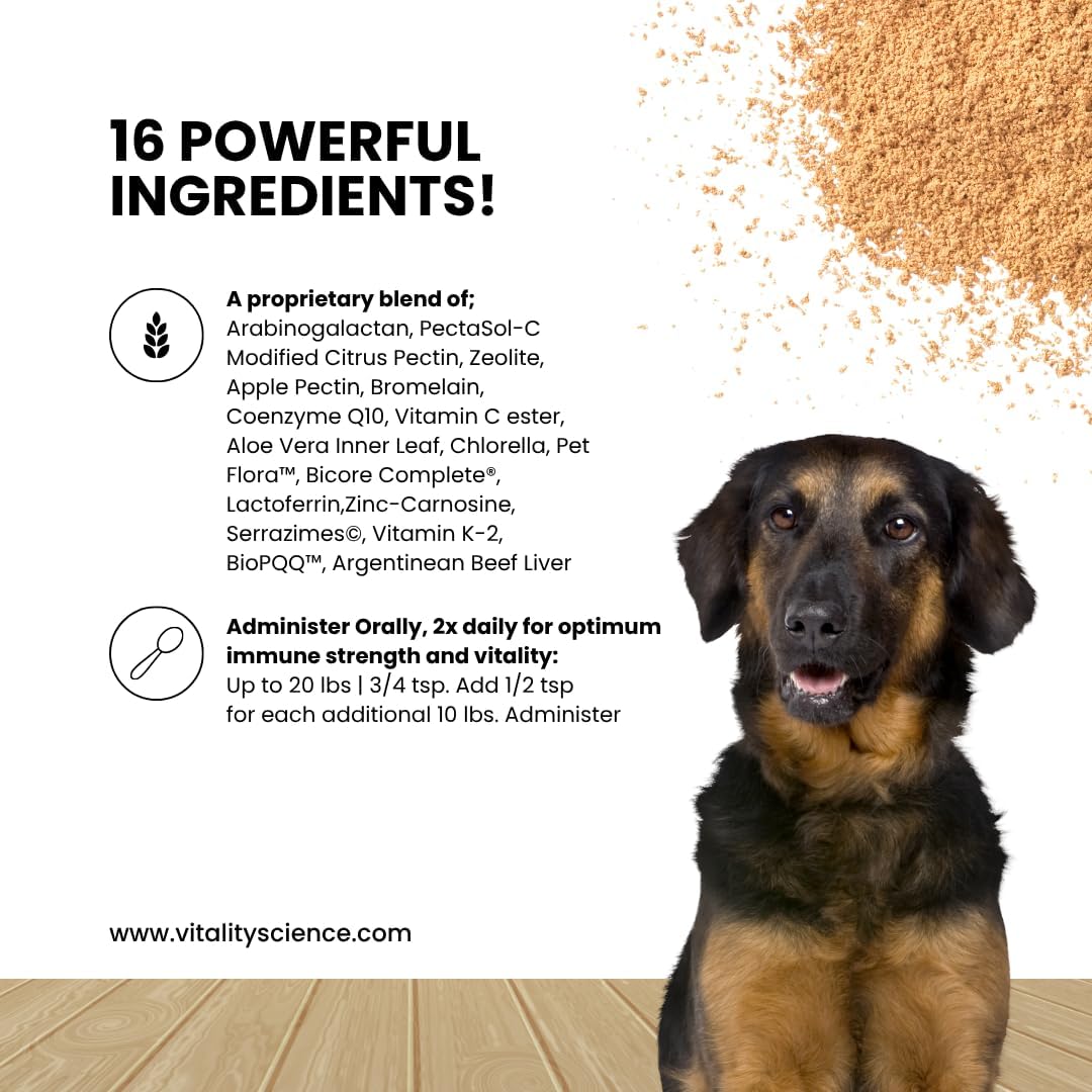 Vitality Science Celloquent para Perros - Apoyo Inmunológico Natural