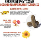 SoActive Berberine 550mg: 9.6X Mayor Absorción, Fitosoma Optimizado