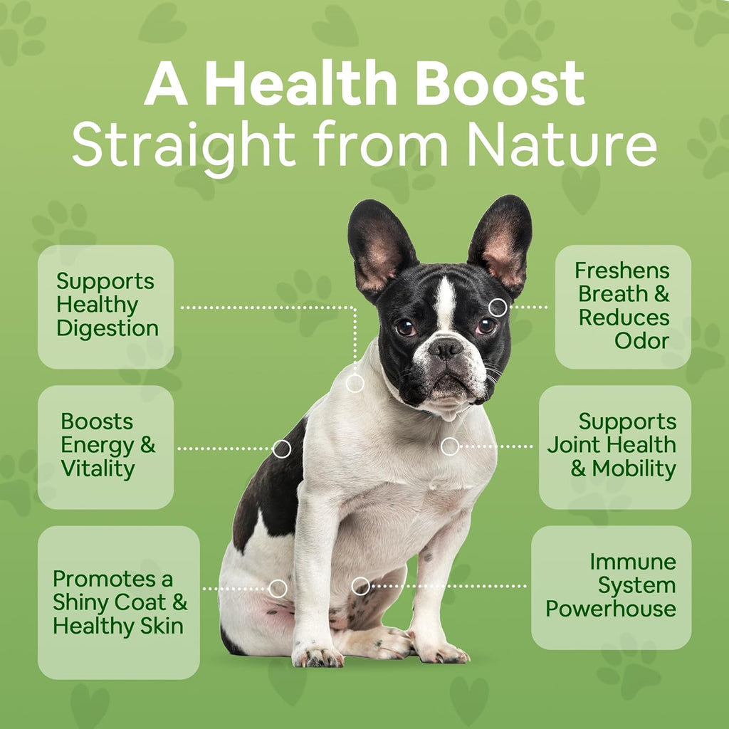 Dog Greens Superfood Multivitamin Powder - Multivitamínico en polvo superalimento para perros con algas, espirulina y musgo marino