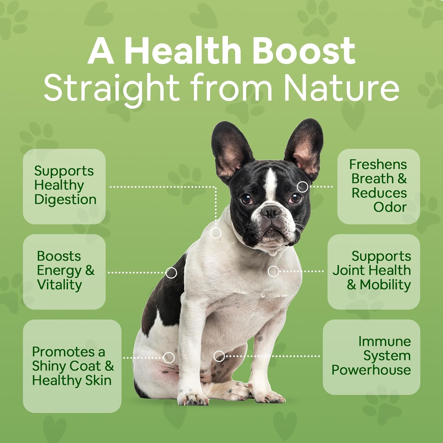 Dog Greens Superfood Multivitamin Powder - Multivitamínico en polvo superalimento para perros con algas, espirulina y musgo marino