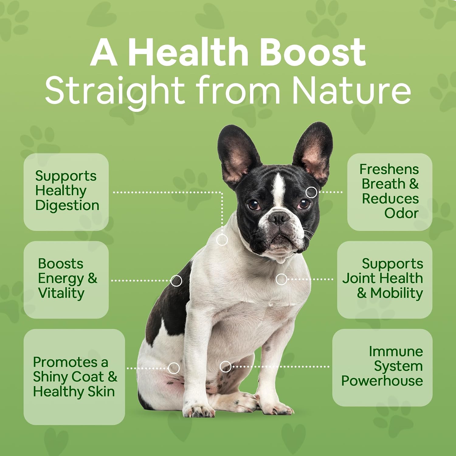 Dog Greens Superfood Supplement para Perros (340 g) - Pack de 3