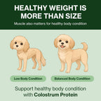Doctor By Colostrum Protein para Perros y Cachorros – Suplemento de Proteína para Ganancia de Peso y Sistema Inmunitario – 30 Tubos