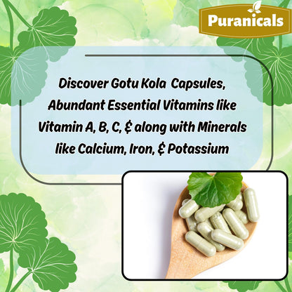Gotu Kola Premium 320 Cápsulas No OGM y Sin Gluten | Suplemento Herbario | 600 mg Por Ración | Hecho con Polvo de Gotu Kola – Image 5