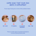 Omega 3 Fish Oil for Dogs - with Omega 3, 6, and 9, Vitamin E for Dog Shedding, Itchy, Dry Skin, Joint & Heart Support (Soft Chews)
